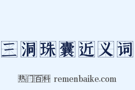 三洞珠囊近义词是什么意思的图片